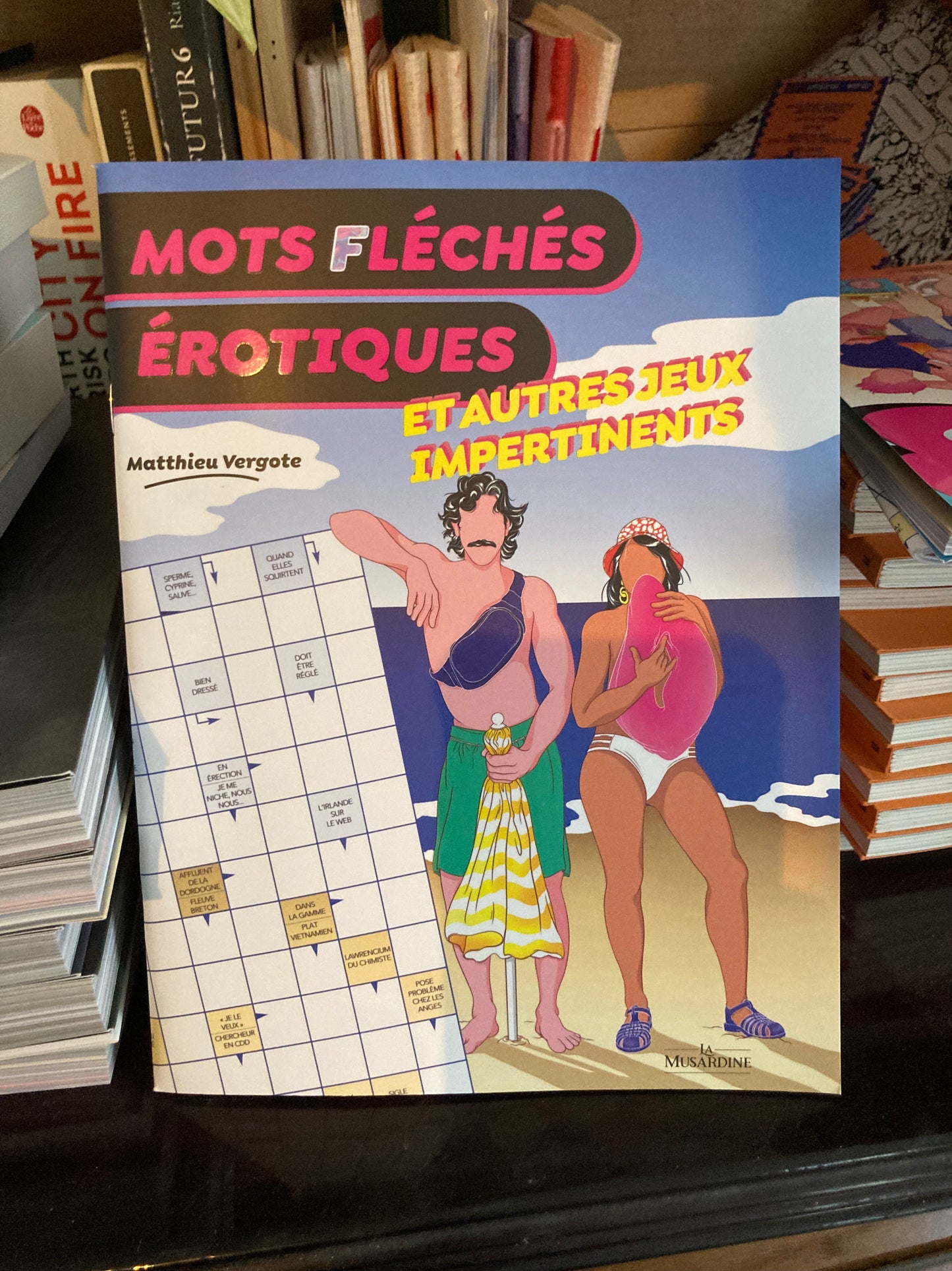 Mots fléchés érotiques (Mathieu Vergote)