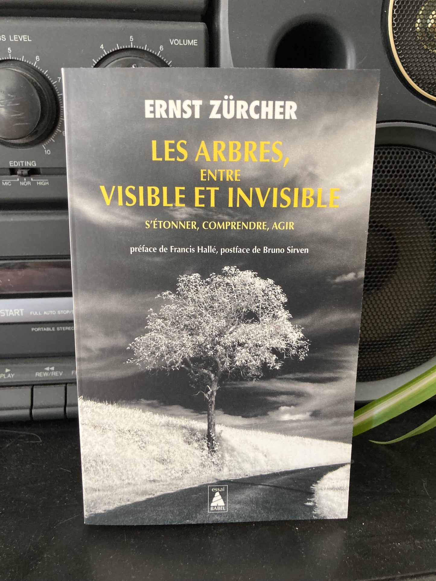 Les arbres, entre visible et invisible (Ernst Zürcher)