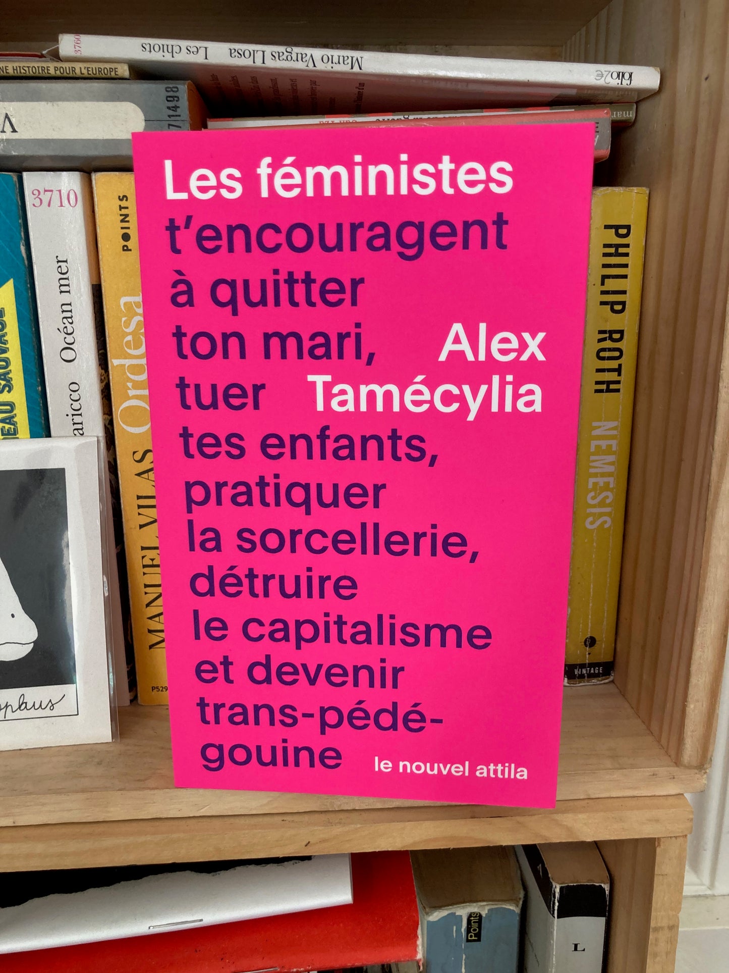 Les féministes t'encouragent à quitter ton mari, tuer tes enfants, pratiquer la sorcellerie... (Alex Tamécylia)
