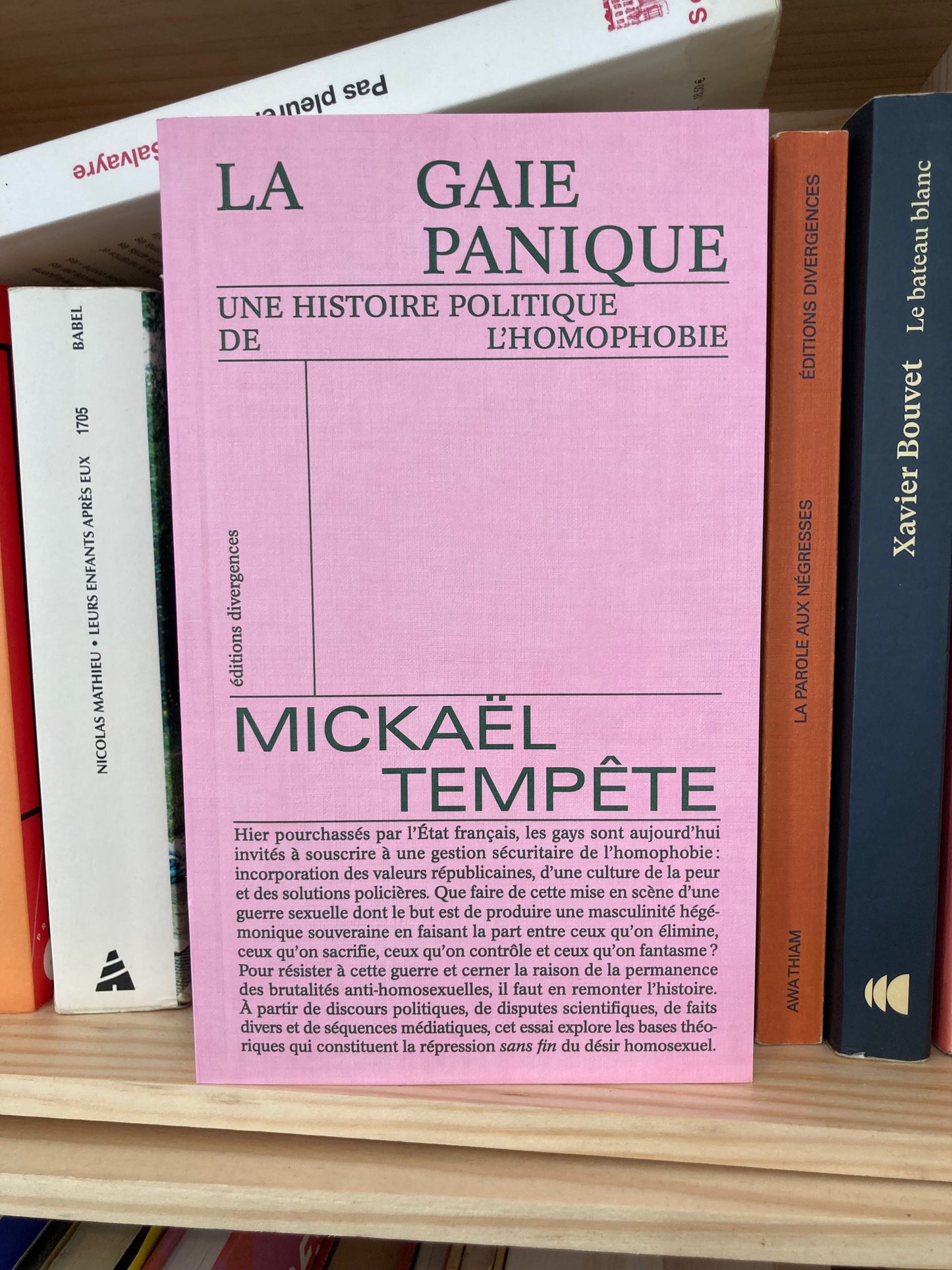 La Gaie panique - Une histoire politique de l'homophobie (Mickaël Tempête)