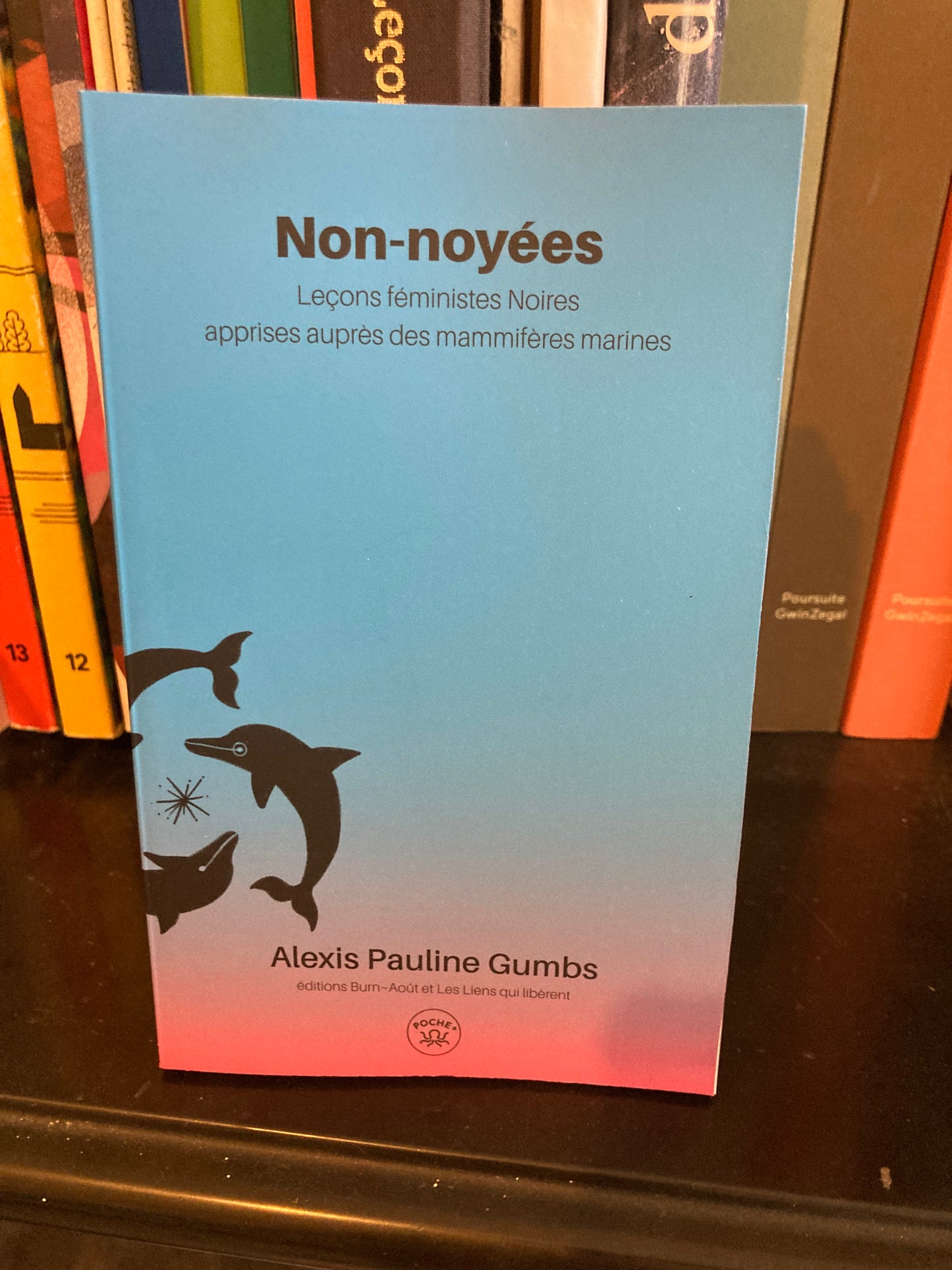 Non-noyées (Alexis Pauline Gumbs)
