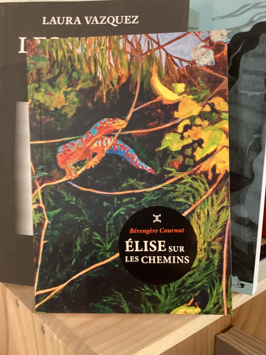 Élise sur les chemins (Bérengère Cournut)