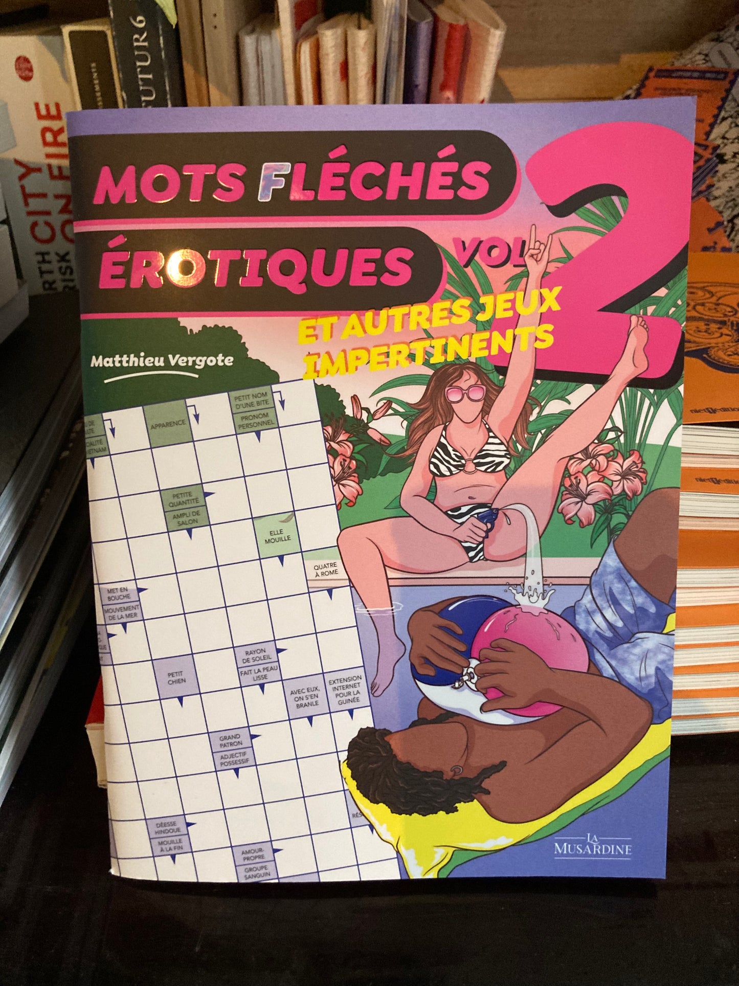 Mots fléchés érotiques 2 (Mathieu Vergote)