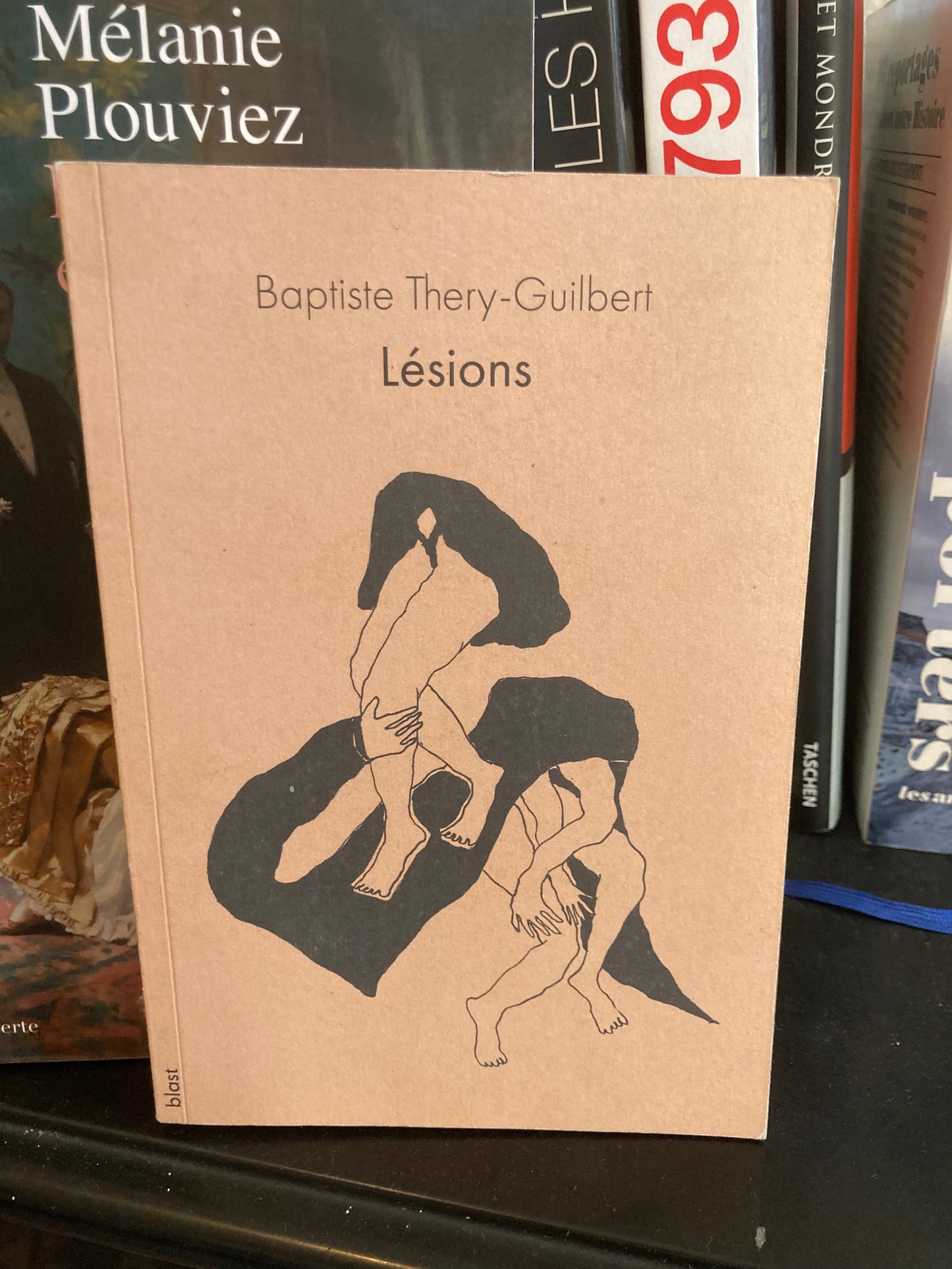 Lésions (Baptiste Thery-Guilbert)